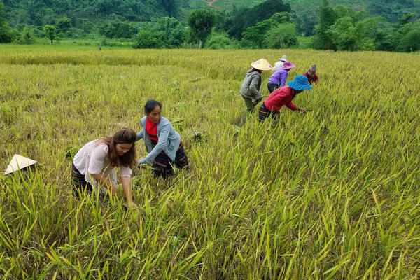 Những ‘cầu nối’ đưa bình đẳng giới về với bản làng Những ‘cầu nối’ đưa bình đẳng giới về với bản làng