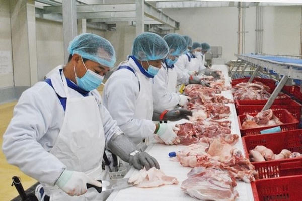 Xuất khẩu nông, lâm, thủy sản: Nỗ lực bứt tốc cuối năm Xuất khẩu nông, lâm, thủy sản: Nỗ lực bứt tốc cuối năm