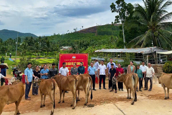 Gia Lai: Mặt trận trao quà, hỗ trợ sinh kế cho hộ khó khăn
