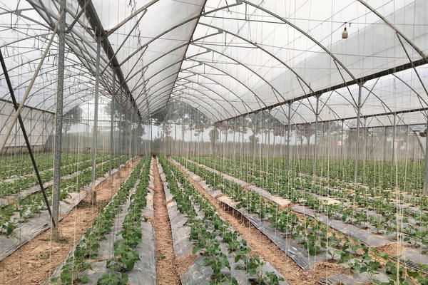 Nghị định mới về EPR: Cú hích cho kinh tế tuần hoàn trong nông nghiệp