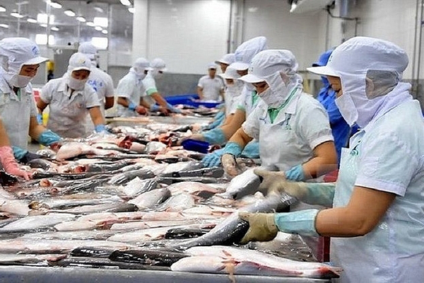 Xuất khẩu thủy sản cuối năm: Cơ hội tăng tốc, áp lực gia tăng Xuất khẩu thủy sản cuối năm: Cơ hội tăng tốc, áp lực gia tăng