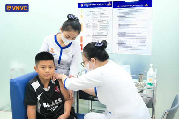Chủ động tiêm phòng dại ngay sau khi bị chó, mèo cắn