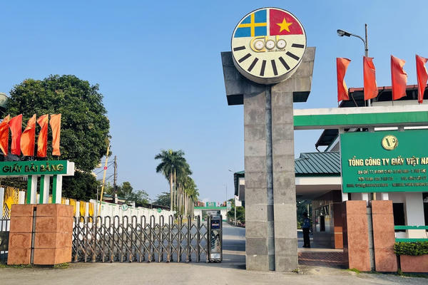 Thanh tra làm rõ vi phạm tại Tổng công ty Giấy Việt Nam