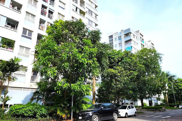 Khuyến khích xây nhà ở cho thuê không bằng vốn Nhà nước