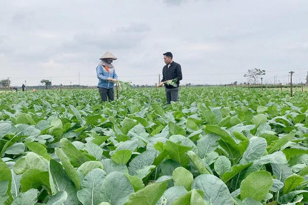 Cơ hội mở rộng thị trường cho nông sản Việt