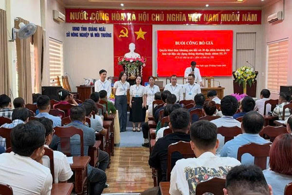 "Choáng váng" giá cát đấu giá tại Quảng Ngãi: Vượt mốc 1 triệu đồng/m³, cao gấp 4 lần thị trường