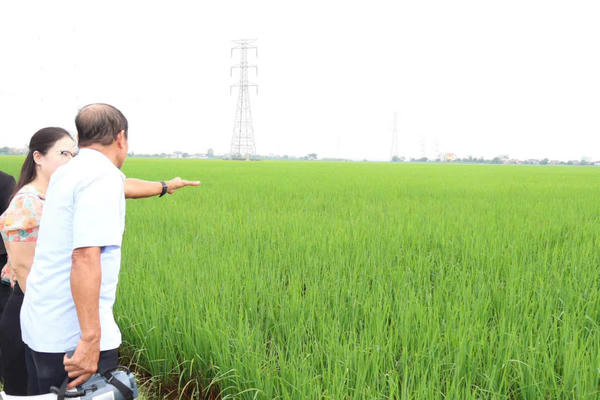 Ninh Bình: Liên kết sản xuất, gia tăng giá trị từ đồng ruộng Ninh Bình: Liên kết sản xuất, gia tăng giá trị từ đồng ruộng