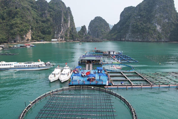 Chuyển từ nghiên cứu sang làm chủ công nghệ biển - Bài 1: Cần một “bức tranh số” đầy đủ về biển