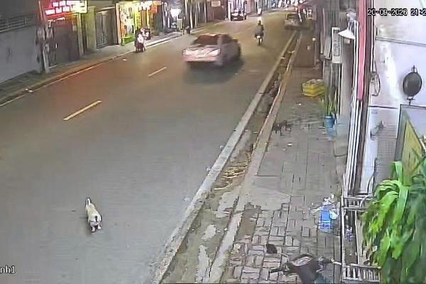 TP Hồ Chí Minh: Ứng dụng “mắt thần” quản lý đô thị