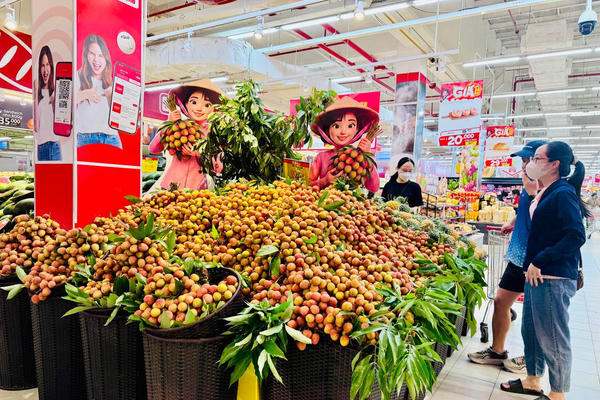 Để OCOP trở thành động lực cho kinh tế nông thôn Để OCOP trở thành động lực cho kinh tế nông thôn