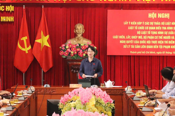 TPHCM: Góp ý 5 dự thảo luật, bộ luật và nghị quyết 