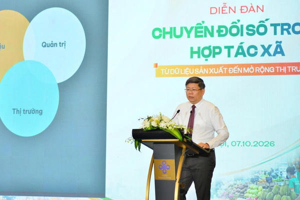 HTX chuyển đổi số cần bắt đầu từ dữ liệu, dùng chung trước khi đầu tư riêng