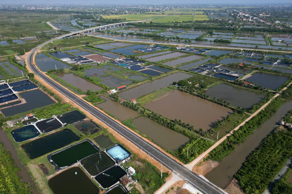 Thanh Hóa: Diện mạo tuyến đường ven biển gần 2.000 tỷ đồng trước ngày khai thác