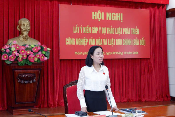 Luật mới cần đảm bảo hài hòa giữa phát triển kinh tế và gìn giữ giá trị văn hóa