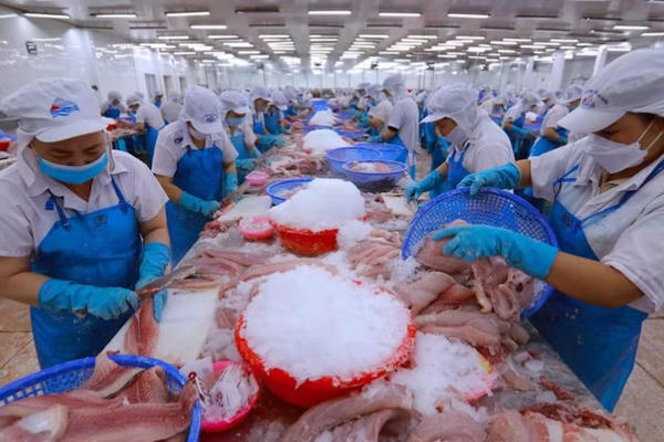 Chủ động nguồn nguyên liệu, tạo đà xuất khẩu thủy sản