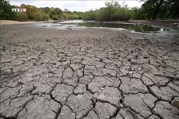 El Nino lập kỷ lục nhiệt độ tại Thái Bình Dương