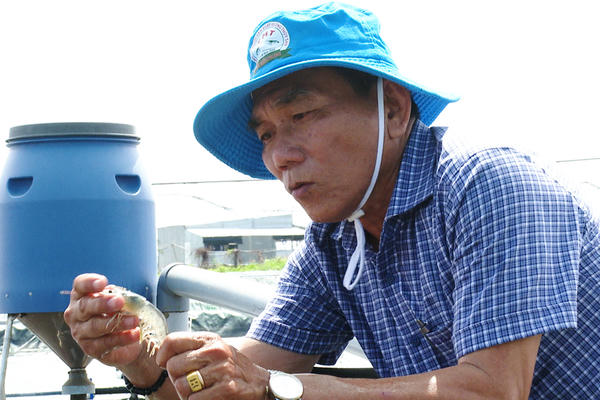 Lão nông Cà Mau lãi chục tỉ từ nuôi tôm công nghệ cao