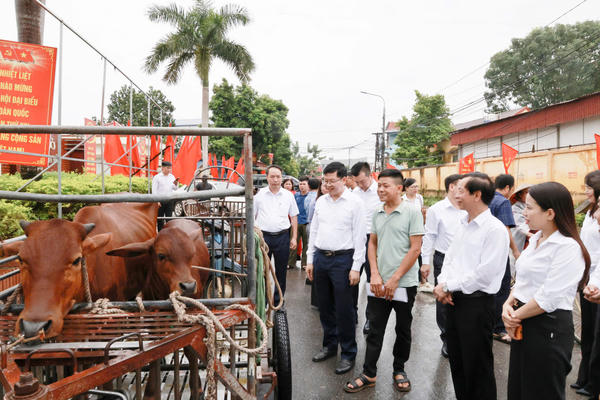 Hướng tới Tháng cao điểm vì người nghèo: Từ mái nhà đại đoàn kết đến sinh kế bền vững