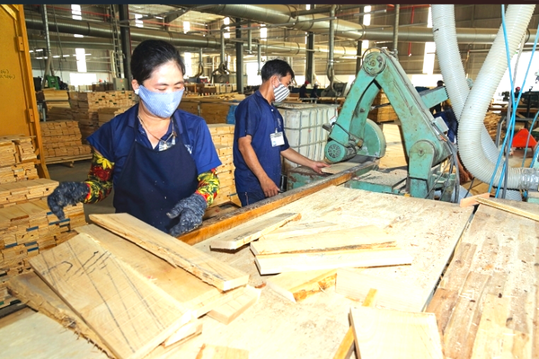 Tháo gỡ rào cản luật để mở rộng xuất khẩu