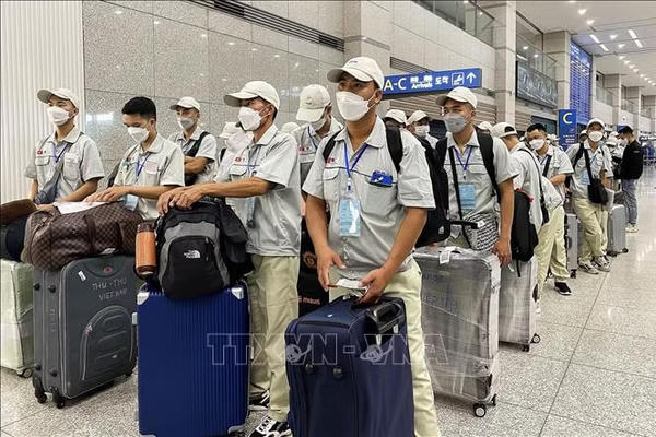 Nâng cao hiệu quả đưa lao động đi làm việc ở nước ngoài