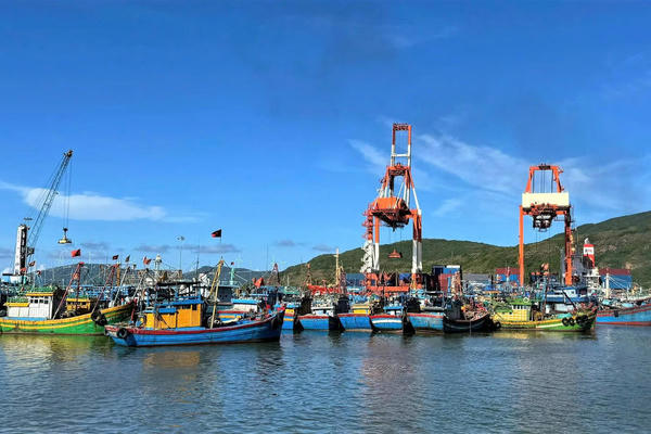 Quản lý chặt đội tàu cá, truy xuất nguồn gốc thủy sản khai thác