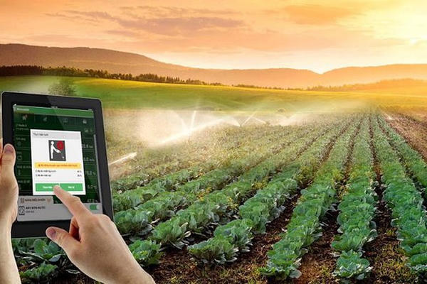 Chuyển đổi số ở hợp tác xã: Không chỉ dừng ở chiếc tem QR