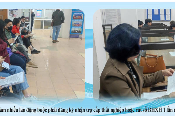 Lao động trung niên trước sức ép AI: Kinh nghiệm không còn là “tấm vé” giữ việc