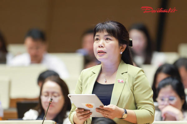 Ngoại lệ không qua đấu giá, đấu thầu dễ trở thành cách tiếp cận đất công thiếu cạnh tranh, gây rủi ro thất thoát