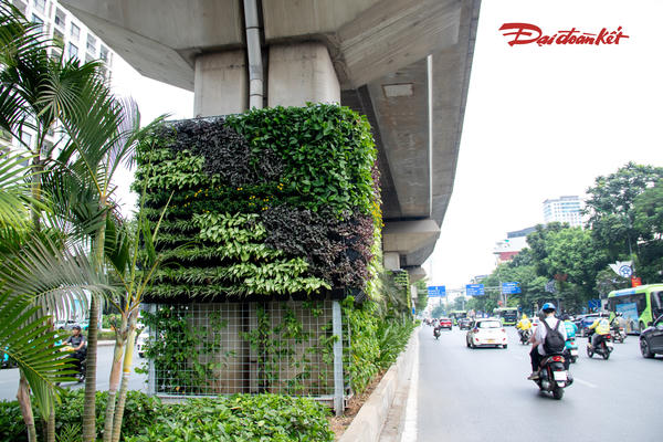 Hà Nội thí điểm phủ xanh cầu vượt, hầm chui và trụ đường sắt đô thị