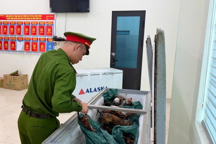 Triệt phá đường dây trộm cắp hơn 300 con mèo tại Hà Nội