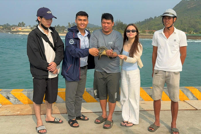 Quảng Ngãi: Ngư dân Lý Sơn kịp thời cứu đồi mồi mắc lưới thả về biển