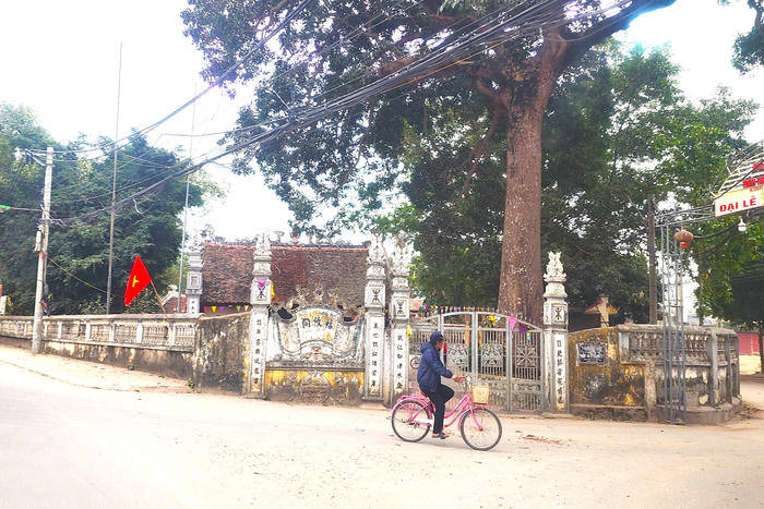 Công trình tự ý xây trên đất di tích lịch sử cấp Quốc gia- Chùa Bảo Tháp: Giám đốc Sở Văn hoá và Thể thao Hà Nội đề nghị làm rõ trách nhiệm tổ chức, tập thể, cá nhân