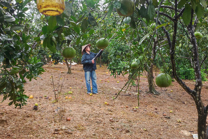 Xuất khẩu rau quả nhiều tín hiệu khả quan
