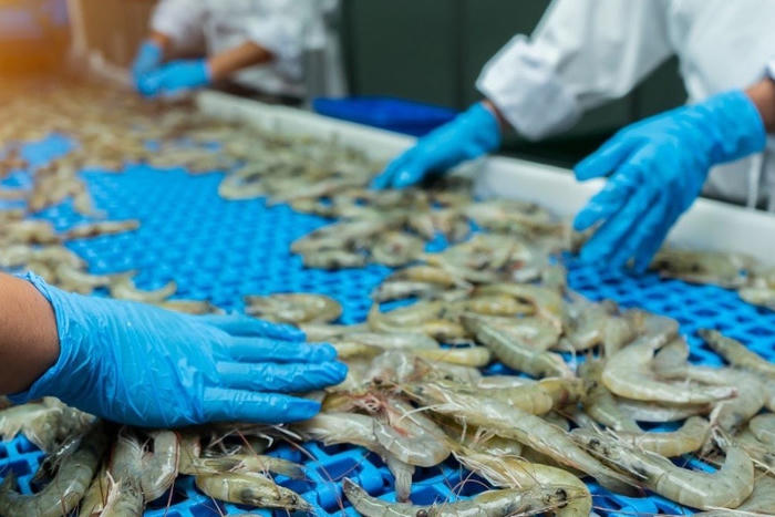 Ngành tôm đối mặt nhiều thách thức