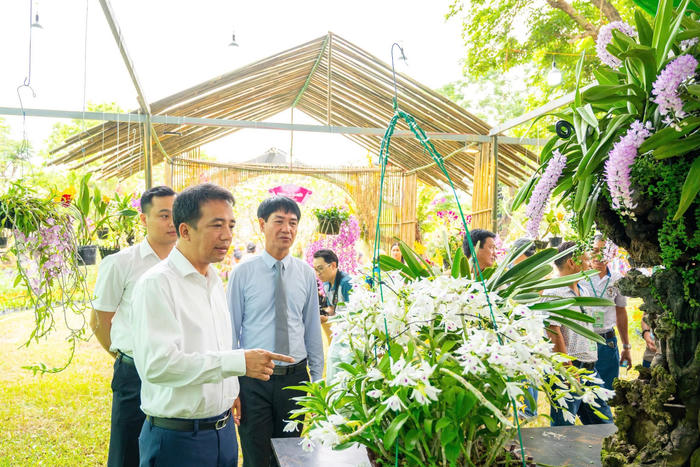 Ngắm hoa phong lan, cây bonsai, đá cảnh được trưng bày ở Đại Nội Huế