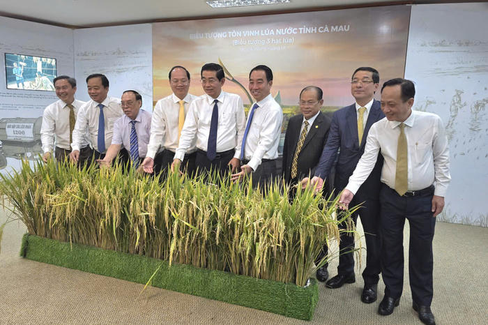 Cà Mau thành lập Bảo tàng tôn vinh hạt lúa 