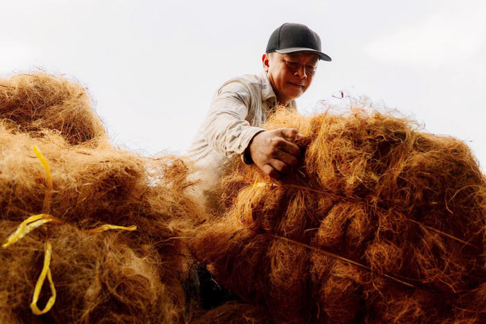 Từ vỏ dừa bỏ đi đến “mỏ vàng” ven sông Thom