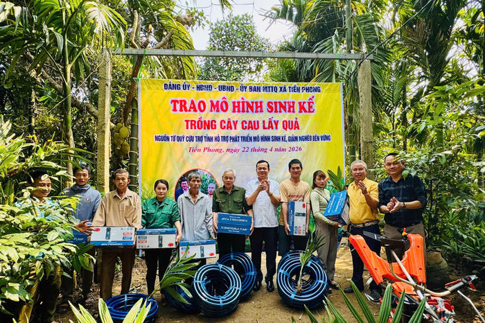 Trồng cau lấy quả giúp người dân vùng biên thoát nghèo