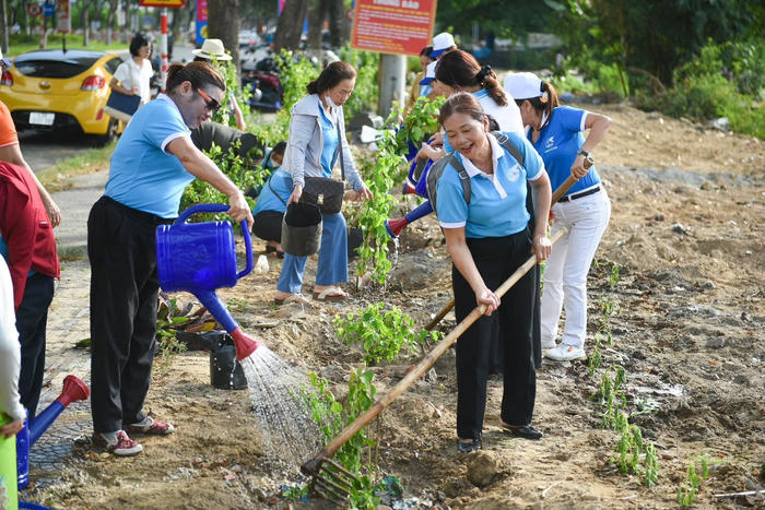 Cải tạo đất trống thành vườn xanh
