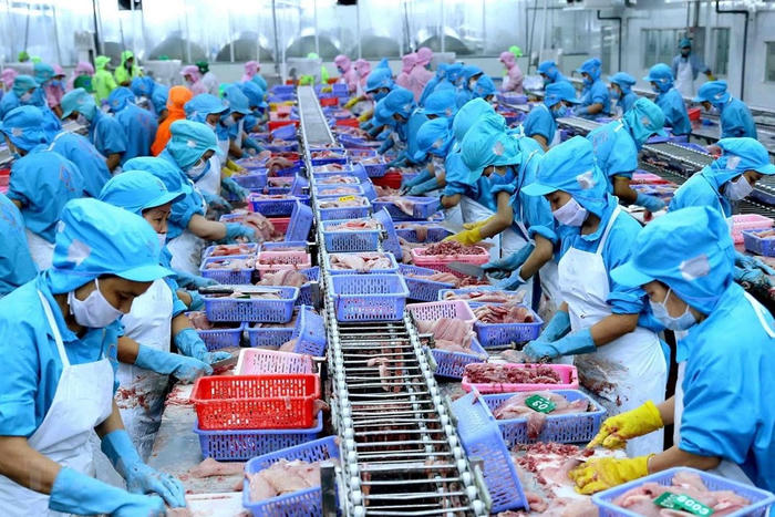 Thủy sản Việt Nam tăng tốc chinh phục chuỗi giá trị toàn cầu
