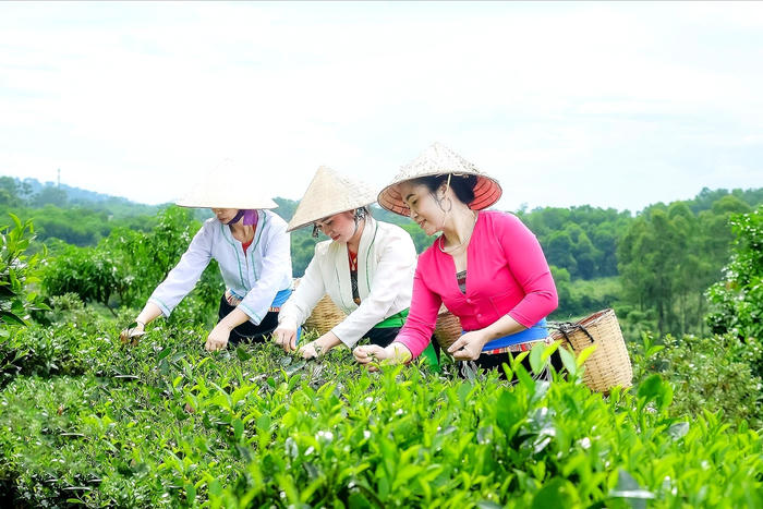 Hà Nội: Hiệu quả từ vận hành chính quyền địa phương 2 cấp