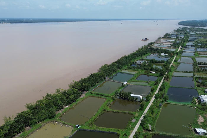 Đê biển Giồng Bàn sạt lở nghiêm trọng, hàng trăm hộ dân bị đe dọa