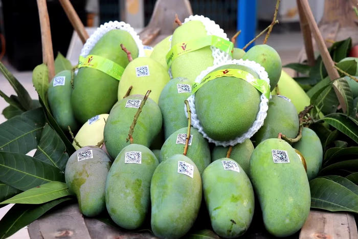 Bộ Công Thương sẽ thúc đẩy đối thoại với Hoa Kỳ sau kết luận thuế Mục 301
