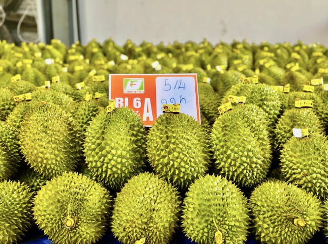 Từ vụ Thứ trưởng Hoàng Trung bị khởi tố: Vẫn câu chuyện thao túng “giấy phép con”