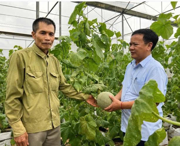 Ứng Thiên (Hà Nội): Tạo diện mạo nông thôn mới từ nông nghiệp xanh, hiện đại
