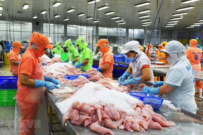 Mỹ tăng thuế chống bán phá giá với cá tra nhập khẩu từ Việt Nam theo POR21