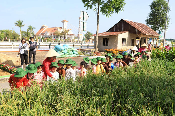Festival Quốc tế ngành hàng Lúa gạo Việt Nam sắp diễn ra tại TP Cần Thơ