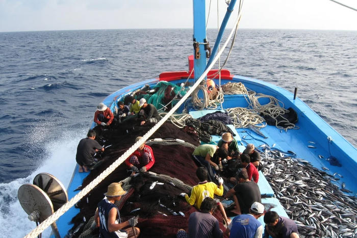 Cả nước vào tháng cao điểm, quyết tâm gỡ “thẻ vàng” IUU
