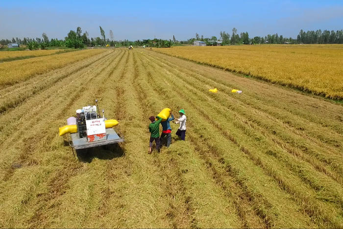 Nông nghiệp sinh thái: “Tấm hộ chiếu xanh” cho nông sản Việt - Bài 1: Từ lựa chọn xanh đến xu hướng tái cấu trúc nền nông nghiệp