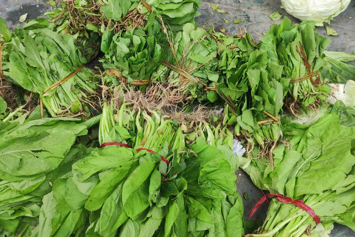 Giá rau xanh Hà Nội tăng sau kỳ nghỉ lễ